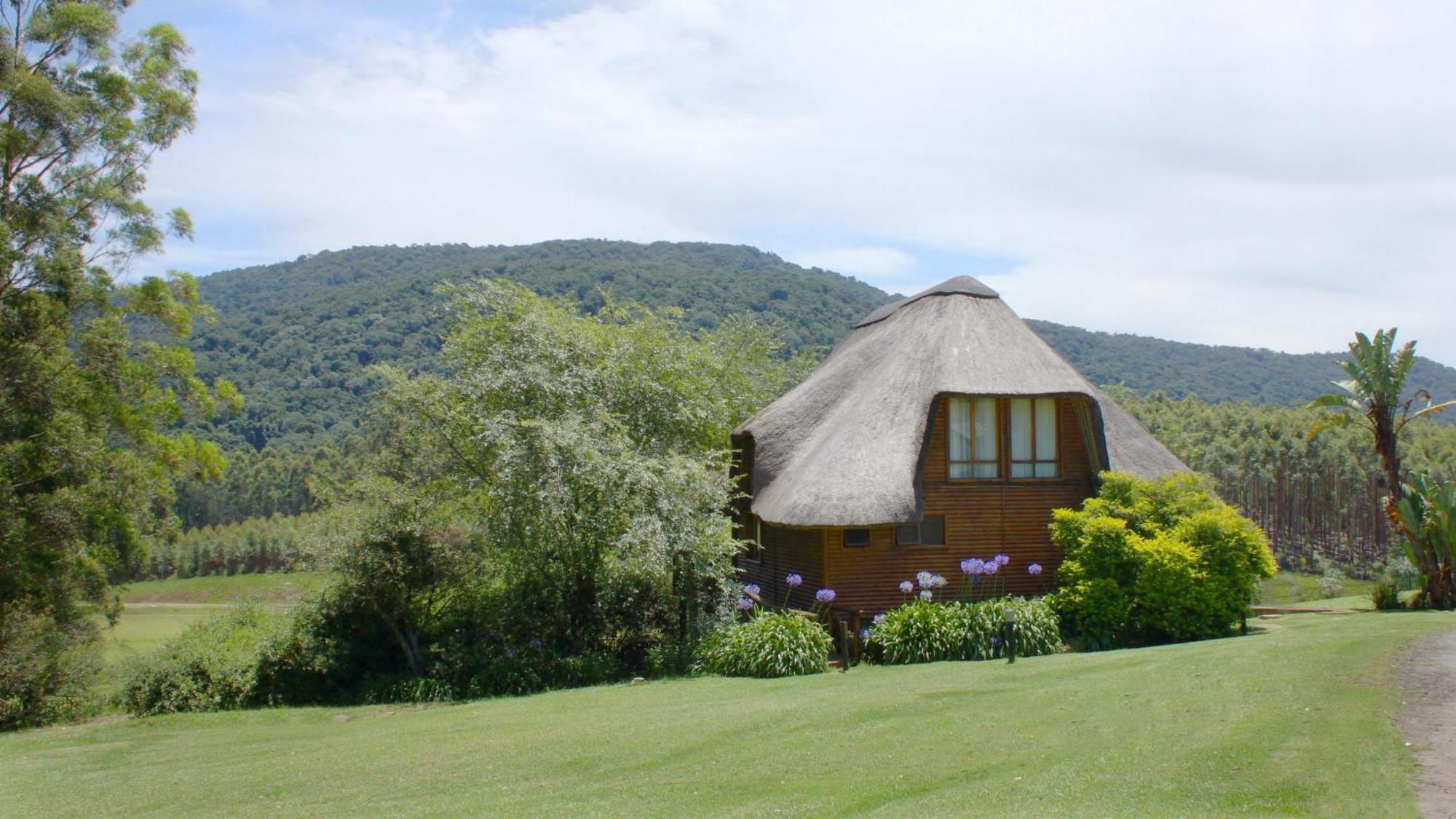 Anew Resort Ingeli Forest Kokstad Kokstad  Quarto foto